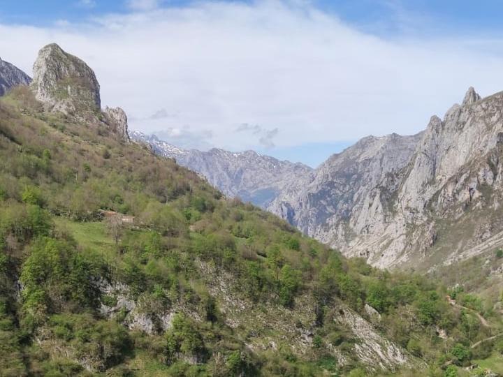 La Casina De Tielve De Cabrales Dentro Del Parque Nacional Picos De Europa Villa Bagian luar foto